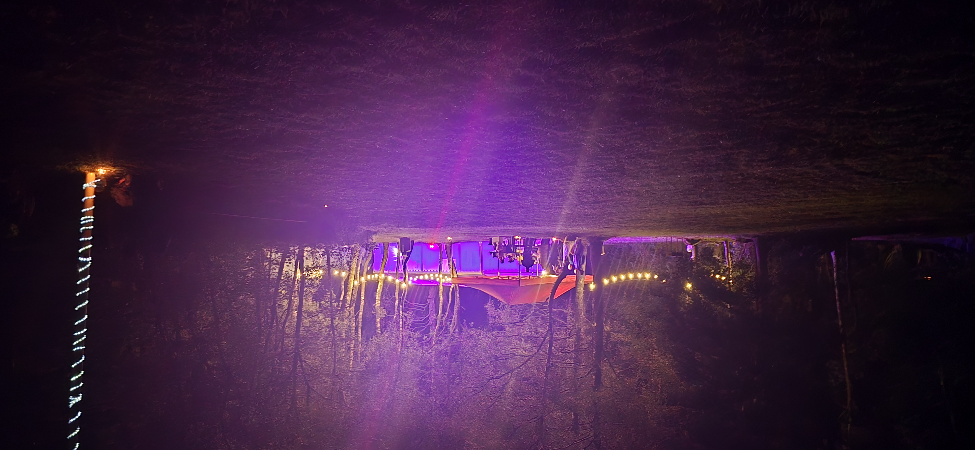 Pidu metsas õhtul